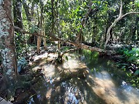 Bij de waterval