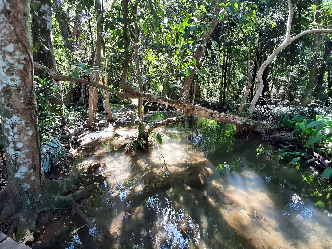 Bij de waterval