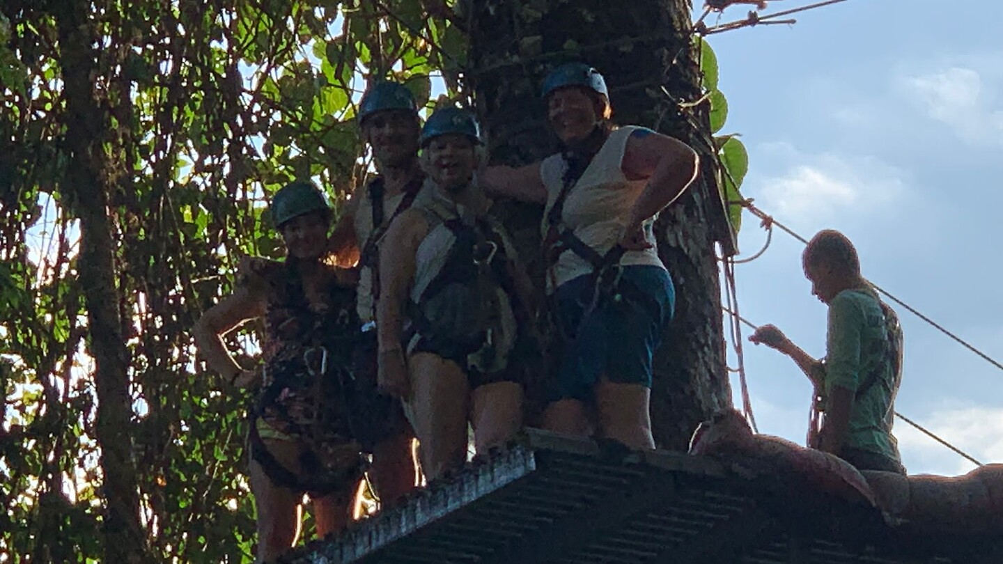 ZIP LINING