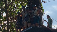 ZIP LINING