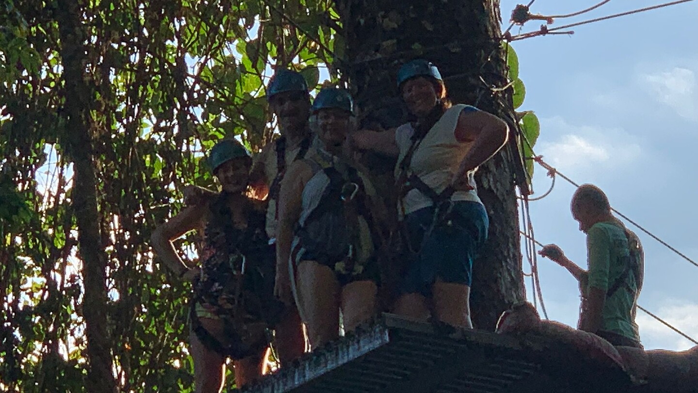 ZIP LINING