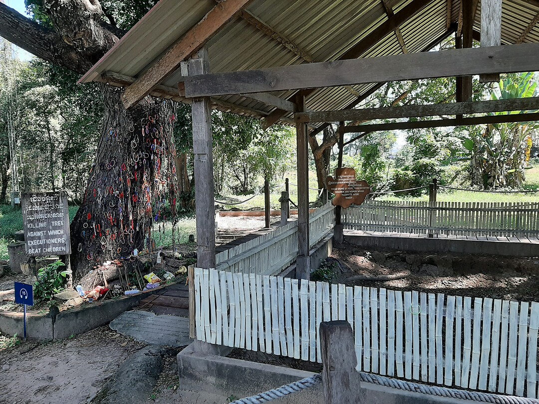 Killingfields, boom waar kinderen werden gedood en een massa graf
