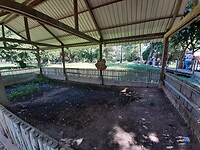 Killingfields, massa graf