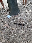 Cu chi tunnels