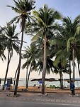 In village next to pattaya