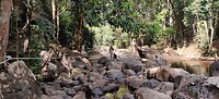 Way to the waterfall