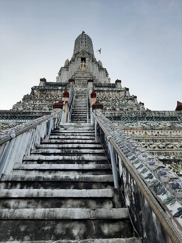 Wat Arun, see reflection bird