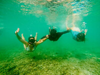 Snorkeling tour