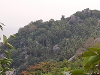By 360 degree view point