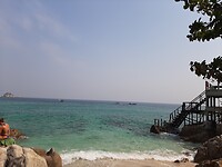 By shark bay