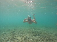 Snorkeling tour