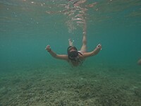 Snorkeling tour