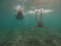 Snorkeling tour,