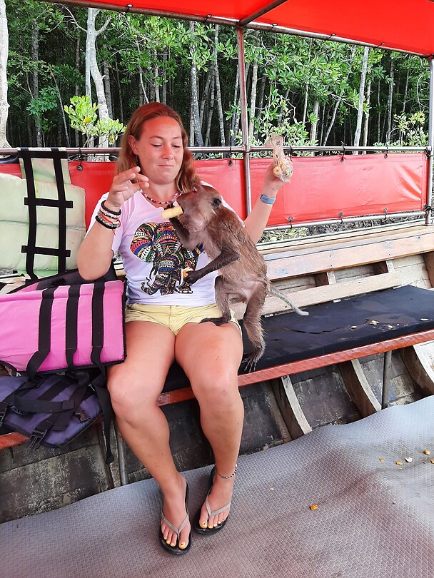 Longtail boat trip; monkeys