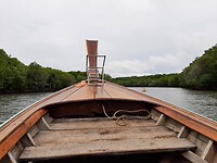 Longtail boat trip; boat