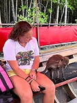 Longtail boat trip; monkeys