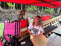 Longtail boat trip; monkeys