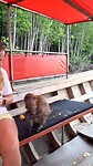 Koh Lanta, Longtail boat trip; monkeys