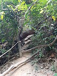 National park
