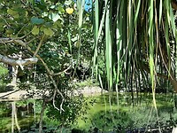 National park