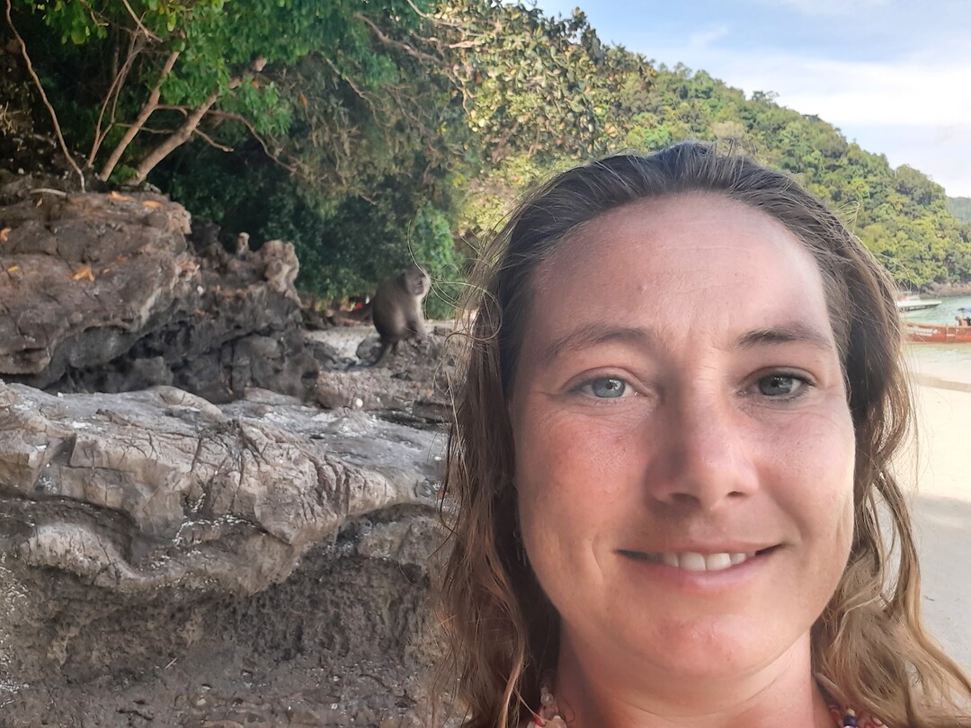 Monkey beach