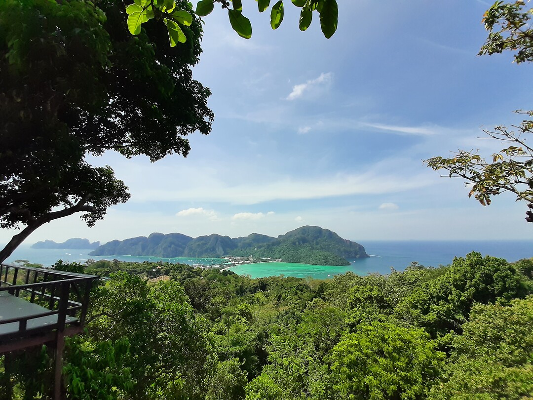 View points