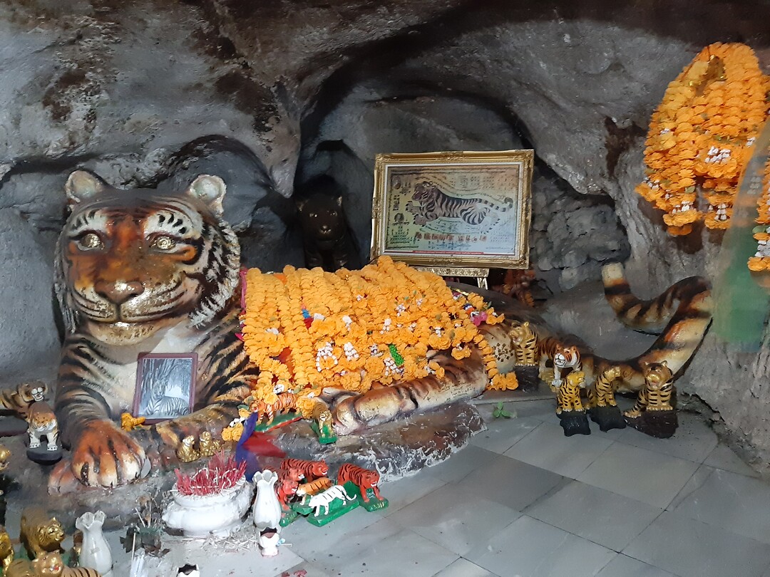 Tiger cave