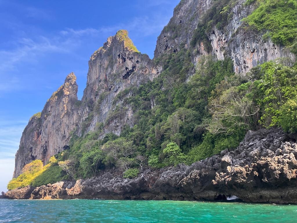 Kayak trip