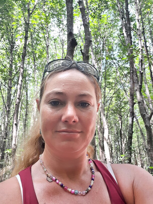 Mangrove boat trip