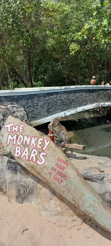 Monkey trail
