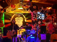 Nice bar Khao Lak