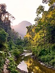 Khao Sok, National Park