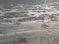 Krab holl in sand