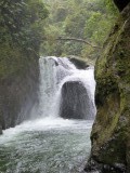 P1000272