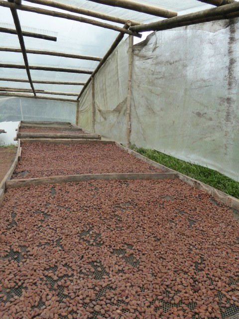 P1000283