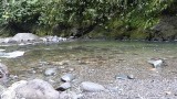 P1000275