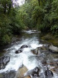 P1000265