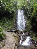 P1000250