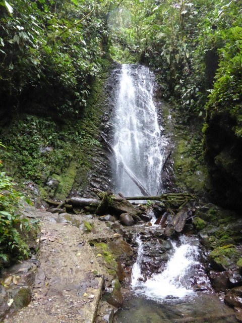 P1000250