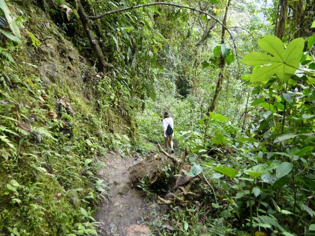 P1000241