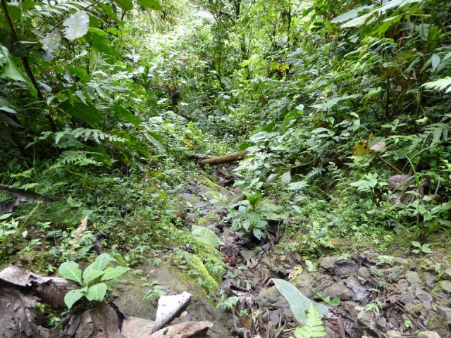 P1000242