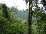 P1000240