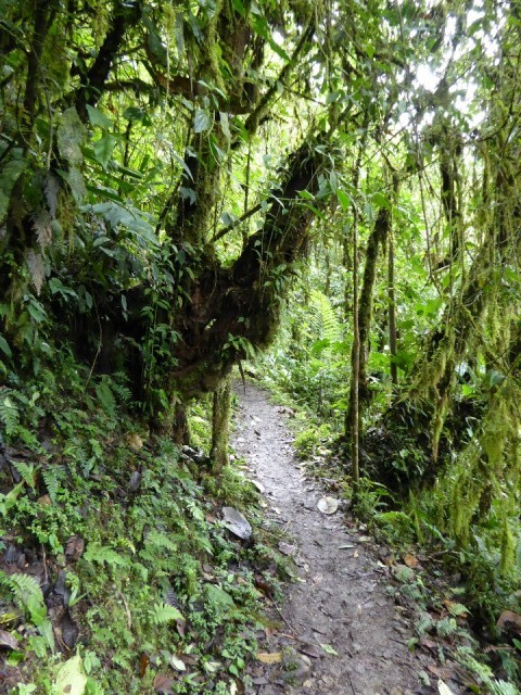 P1000234
