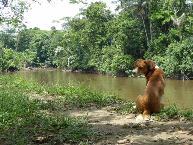 P1000661
