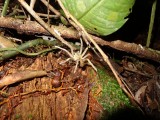 DSC01560