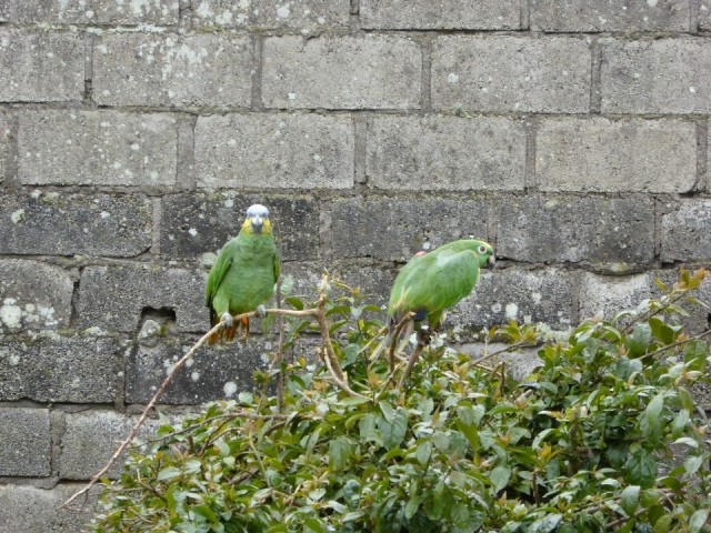 P1000756