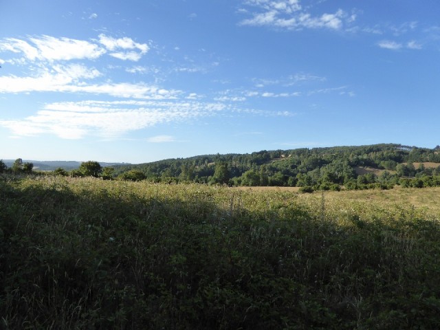 P1020207