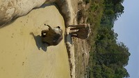 Elephant Park