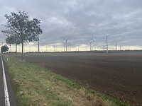 Veel, zeer veel windmolens.