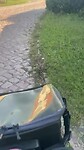 Dobberen op kasseien